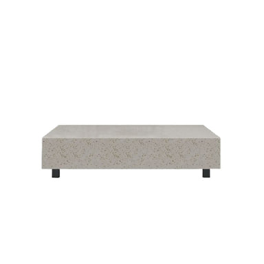 Front Facing View of The Liza Coffee Table With Terrazzo Surface 