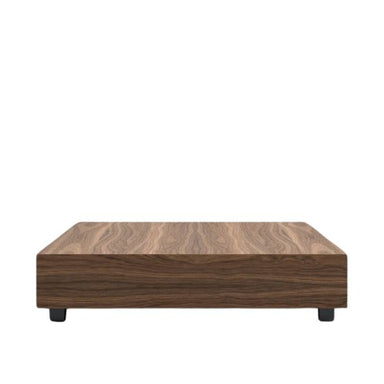 Side Facing View of The Liza Coffee Table With Walnut Veneer Finish