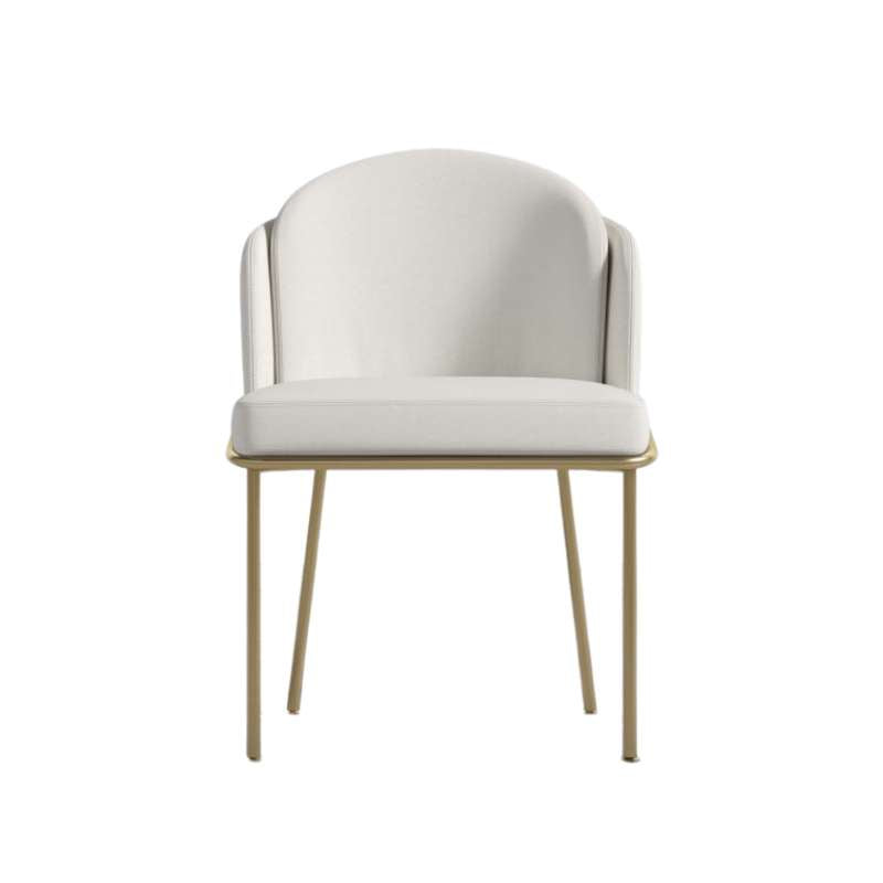 Front Facing View of The Angelo Dining Chair in Alesund Fabric and Brass Base