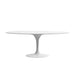 Front Facing View of The Tulip Table Oval in White Lacquer Veneer and White Base